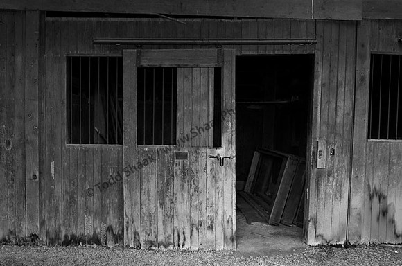 IMG_3195.4.BW copy