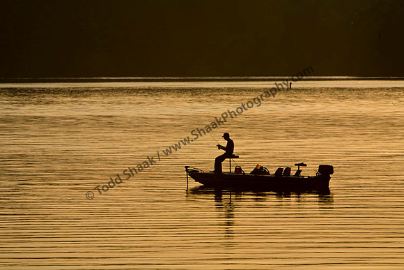 IMG_0976.1 copy