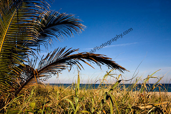 IMG_3771 copy