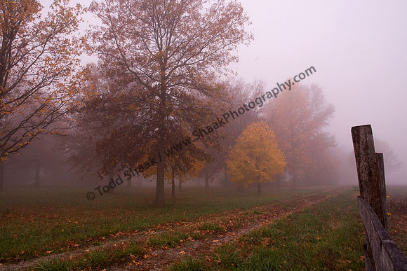 IMG_1712.3 copy