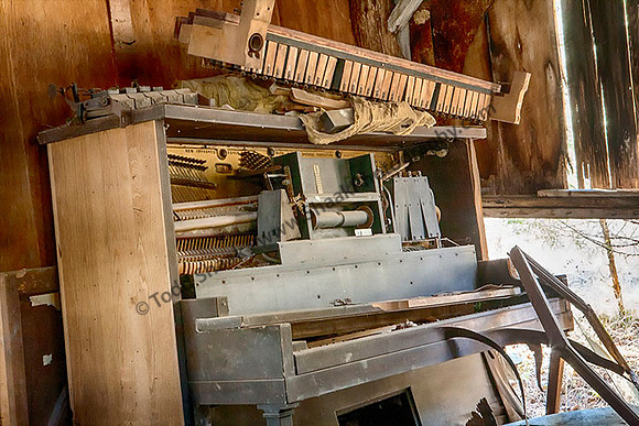 IMG_9820-2009 copy