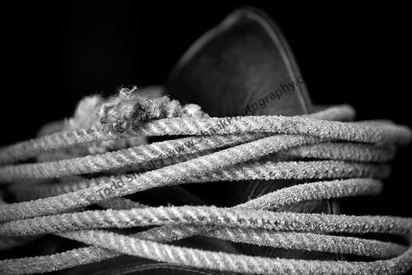 IMG_7595 copy