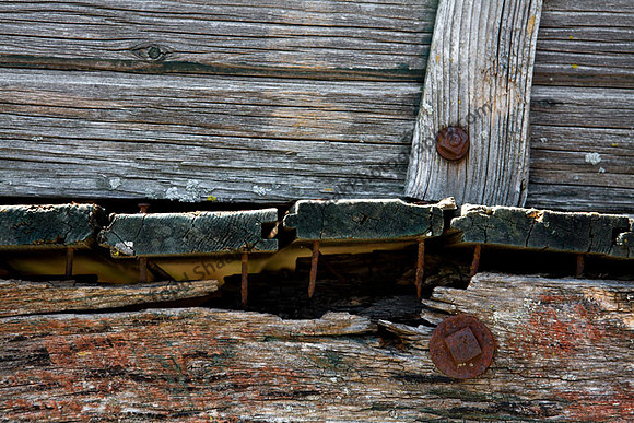 IMG_9096.4 copy