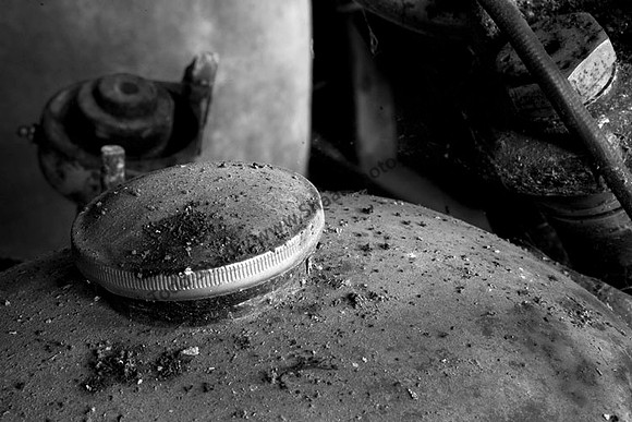IMG_8615 copy