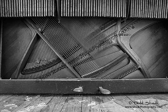 IMG_8462.2014.BW copy