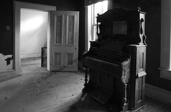 IMG_1431.3.BW copy