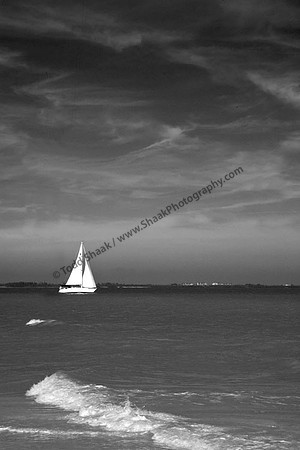 IMG_4576.BW copy