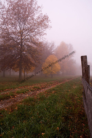 IMG_1713.3 copy