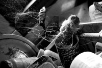 IMG_5501 copy