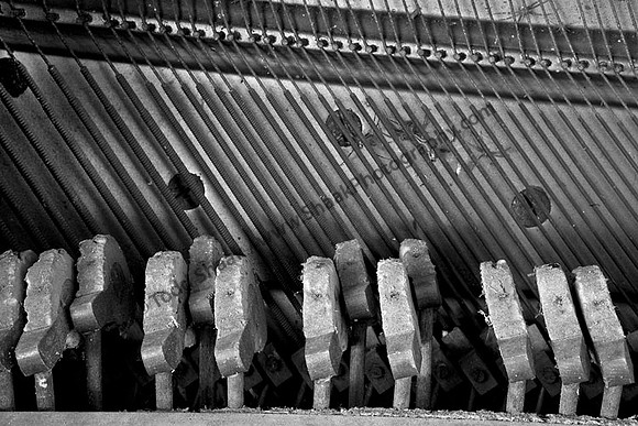IMG_0879 copy