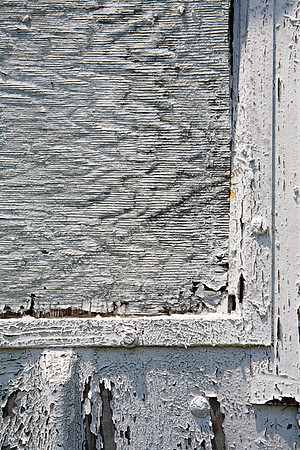 IMG_9090.4 copy
