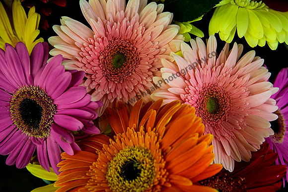 IMG_5027.6.2013 copy
