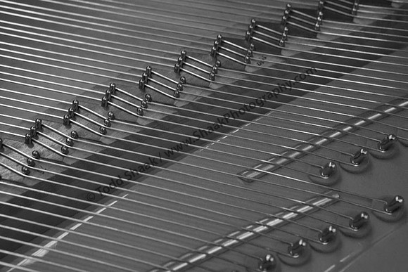 IMG_1465.5.BW copy