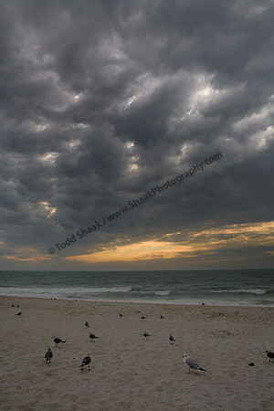 IMG_5307 copy