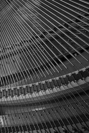 IMG_1476.5.BW copy