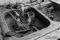IMG_8278.2014 copy