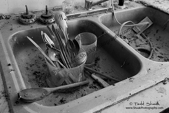 IMG_8278.2014 copy