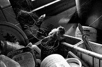 IMG_5502 copy